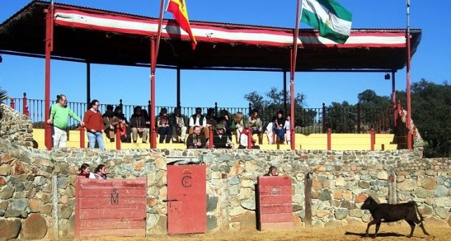 Auténticas capeas con el torero Franco Cadena como anfitrión y maestro
